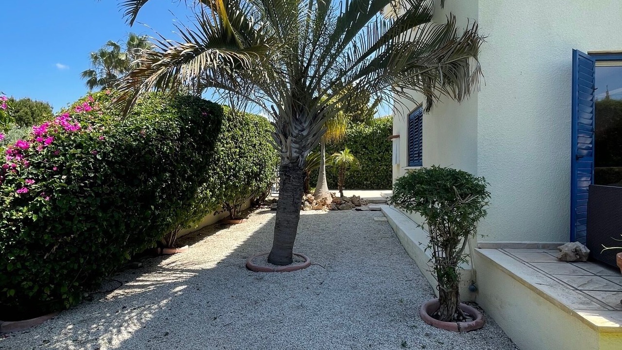 Photo of Outdoor in Pegeia