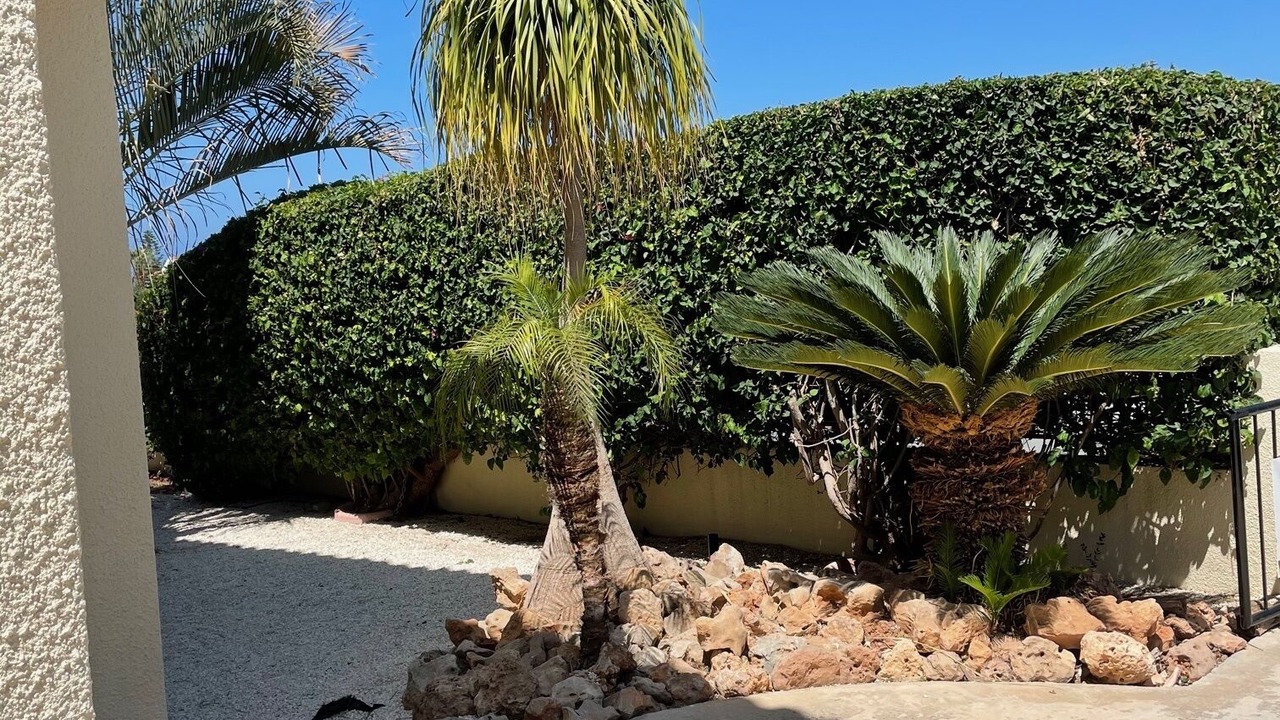 Photo of Outdoor in Pegeia