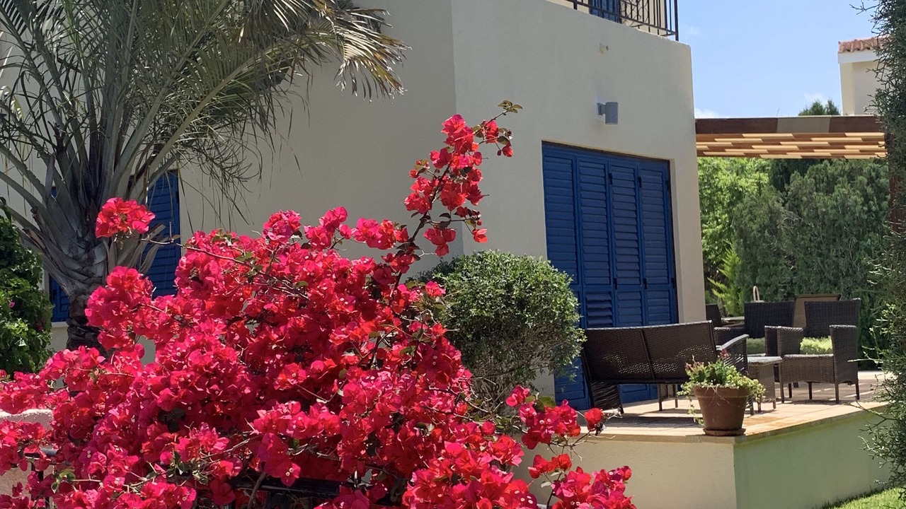 Photo of Outdoor in Pegeia