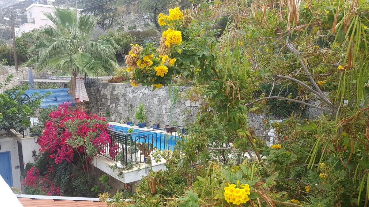 Photo of Outdoor in Bellapais