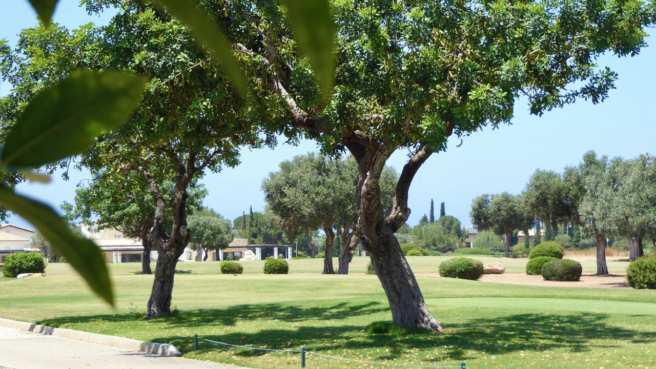 Photo of Others in Aphrodite Hills