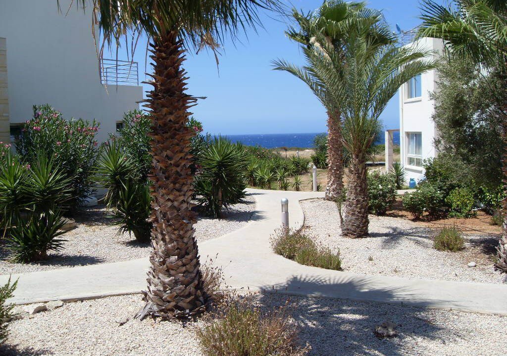 Photo of Outdoor in Esentepe