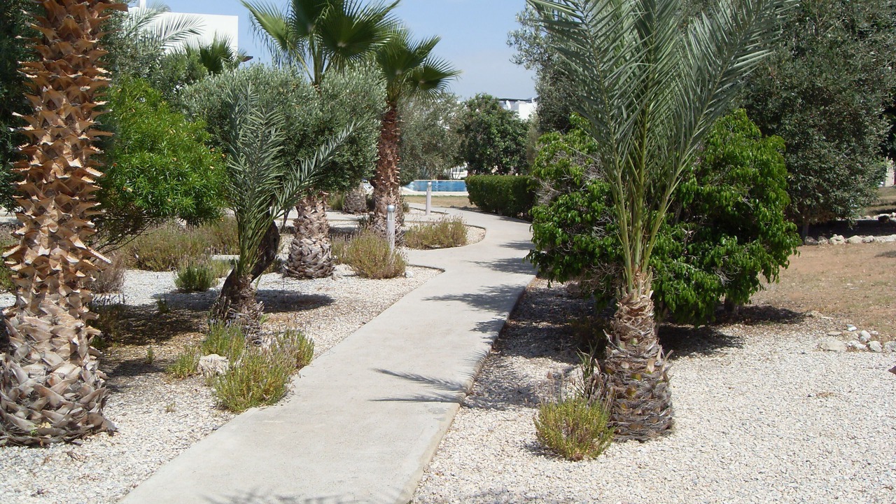Photo of Outdoor in Esentepe