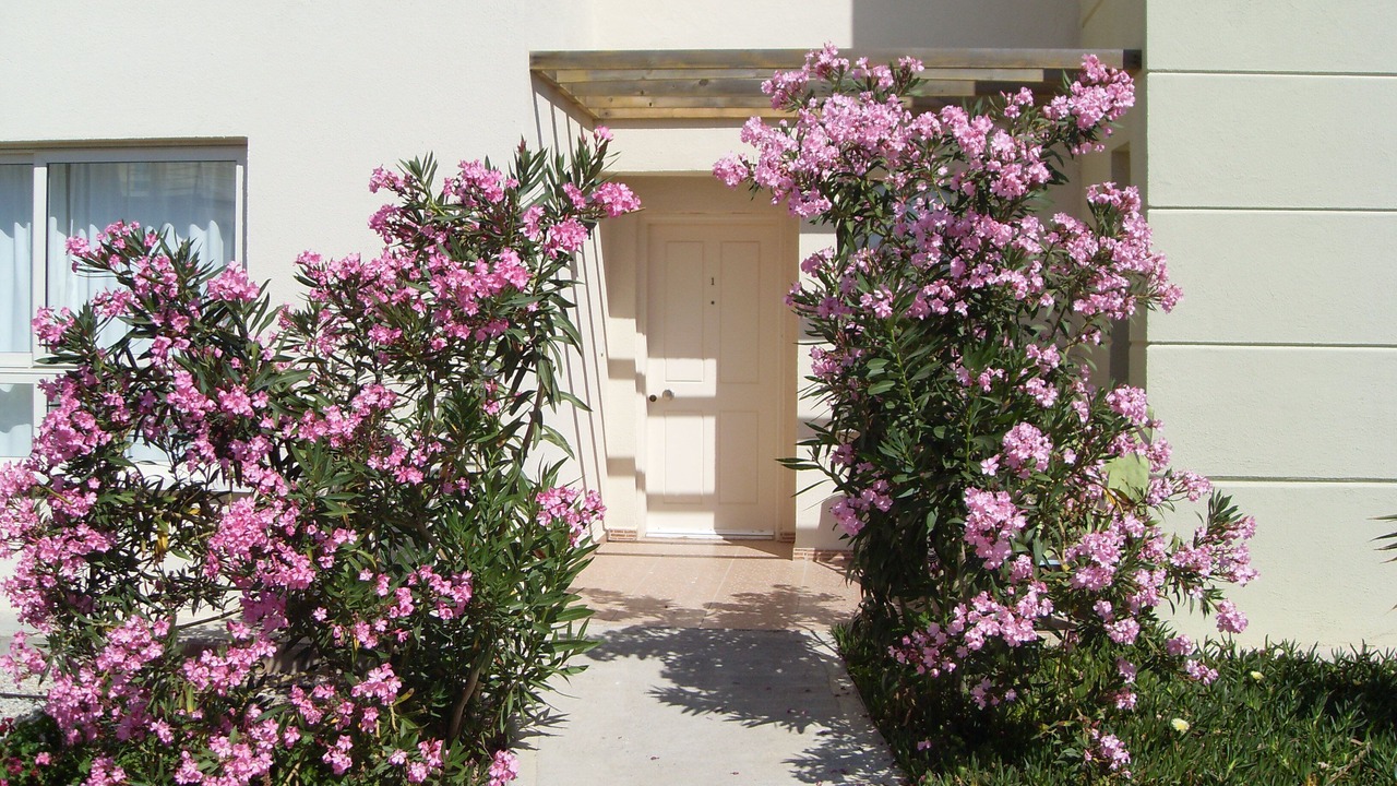 Photo of Outdoor in Esentepe