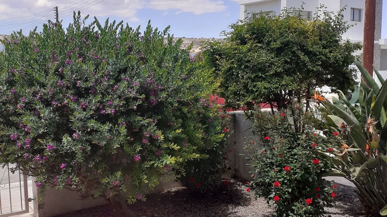 Photo of Outdoor in Alethriko