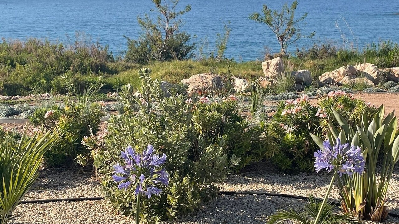 Photo of Outdoor in Pegeia