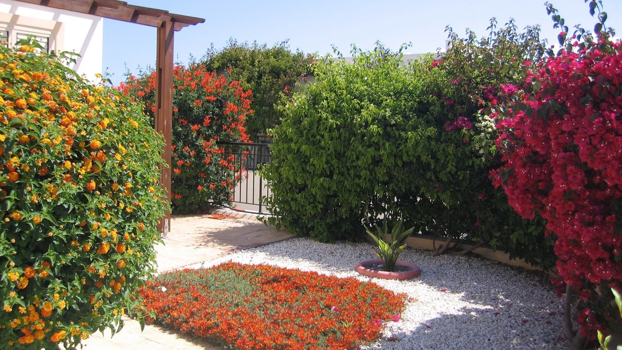 Photo of Outdoor in Latchi