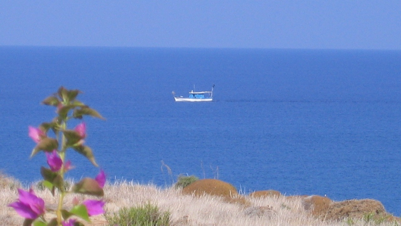 Photo of Others in Latchi
