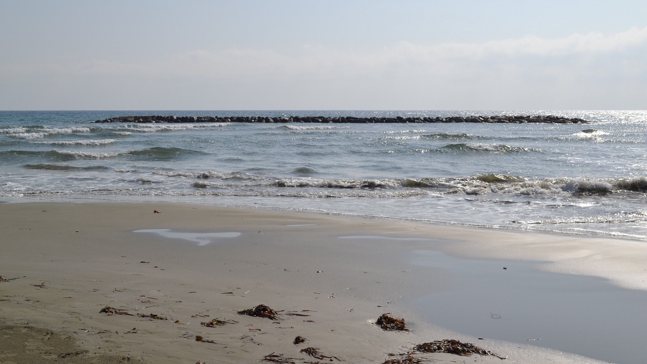 Photo of Others in Pyla