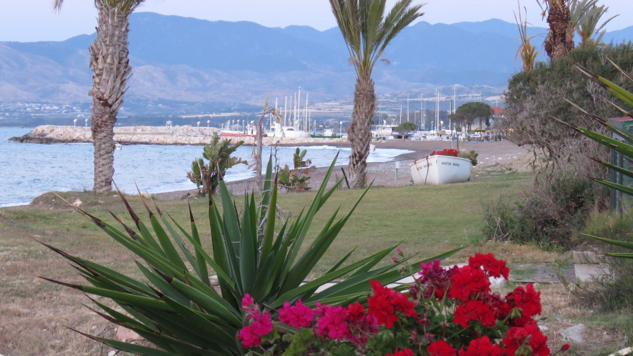 Photo of Others in Miliou