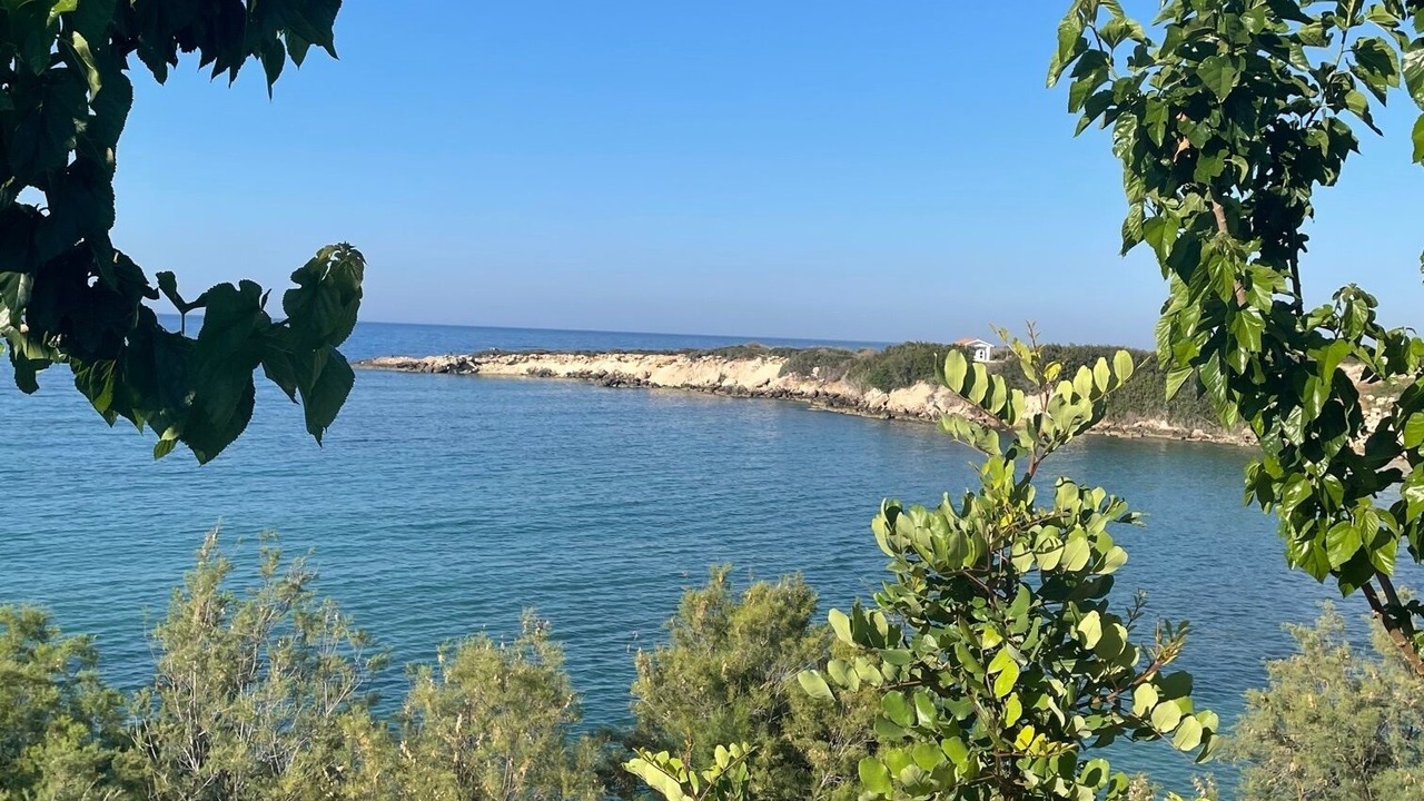 Photo of Others in Pegeia