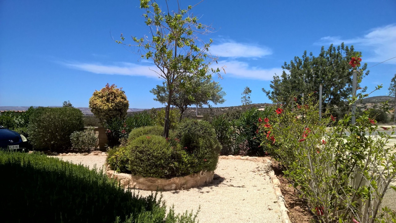 Photo of Outdoor in Kouklia