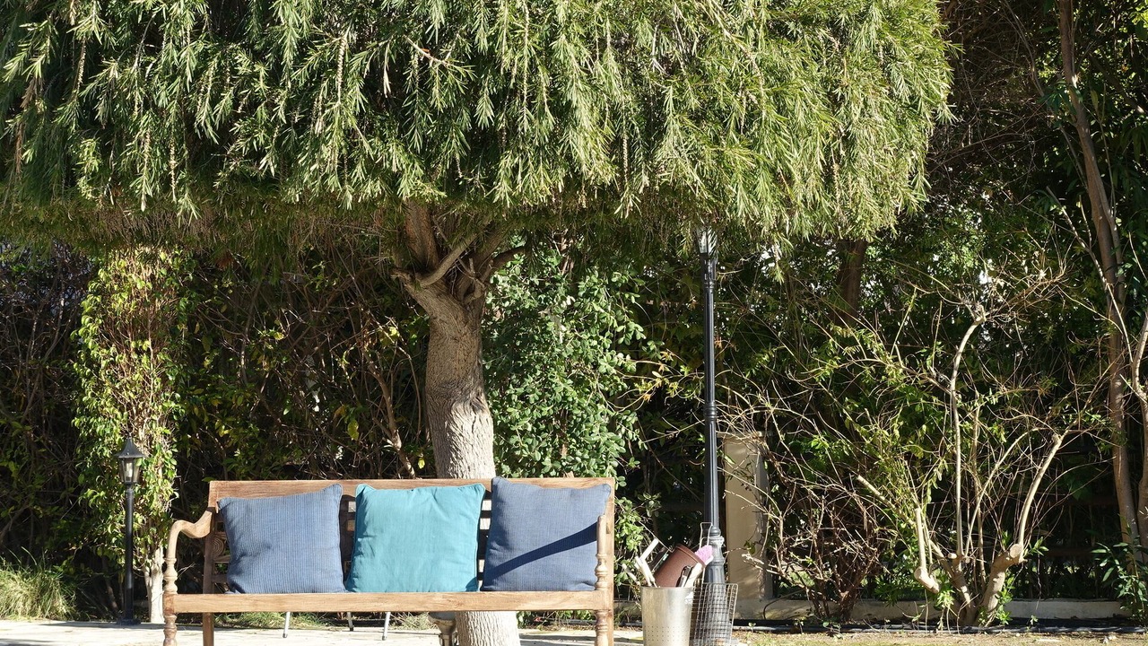 Photo of Outdoor in Pissouri