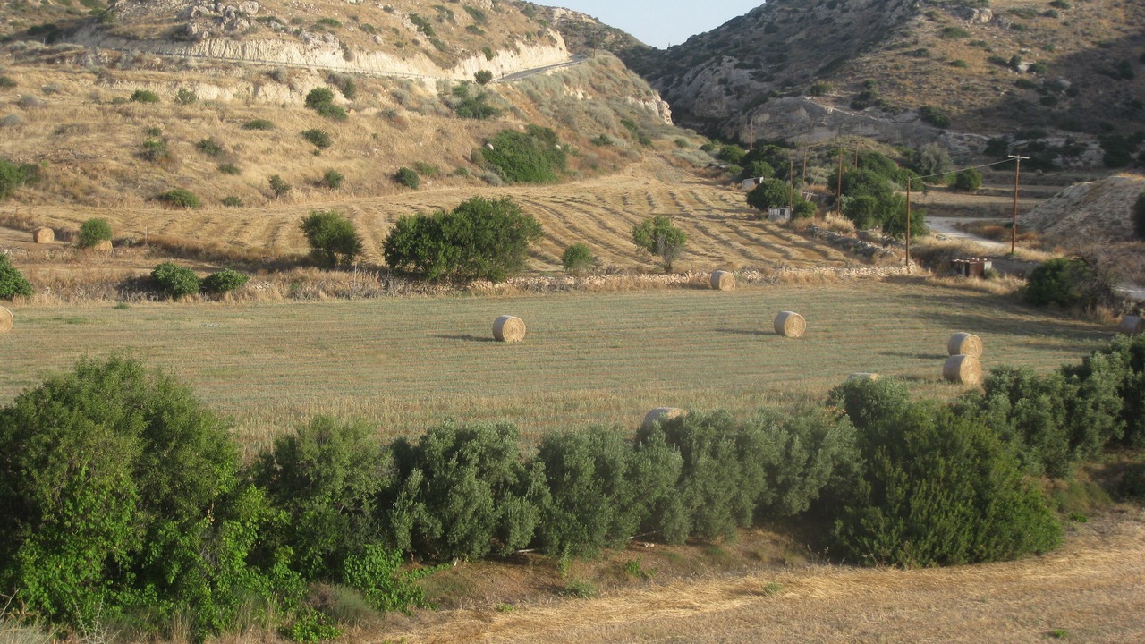 Photo of Others in Pissouri