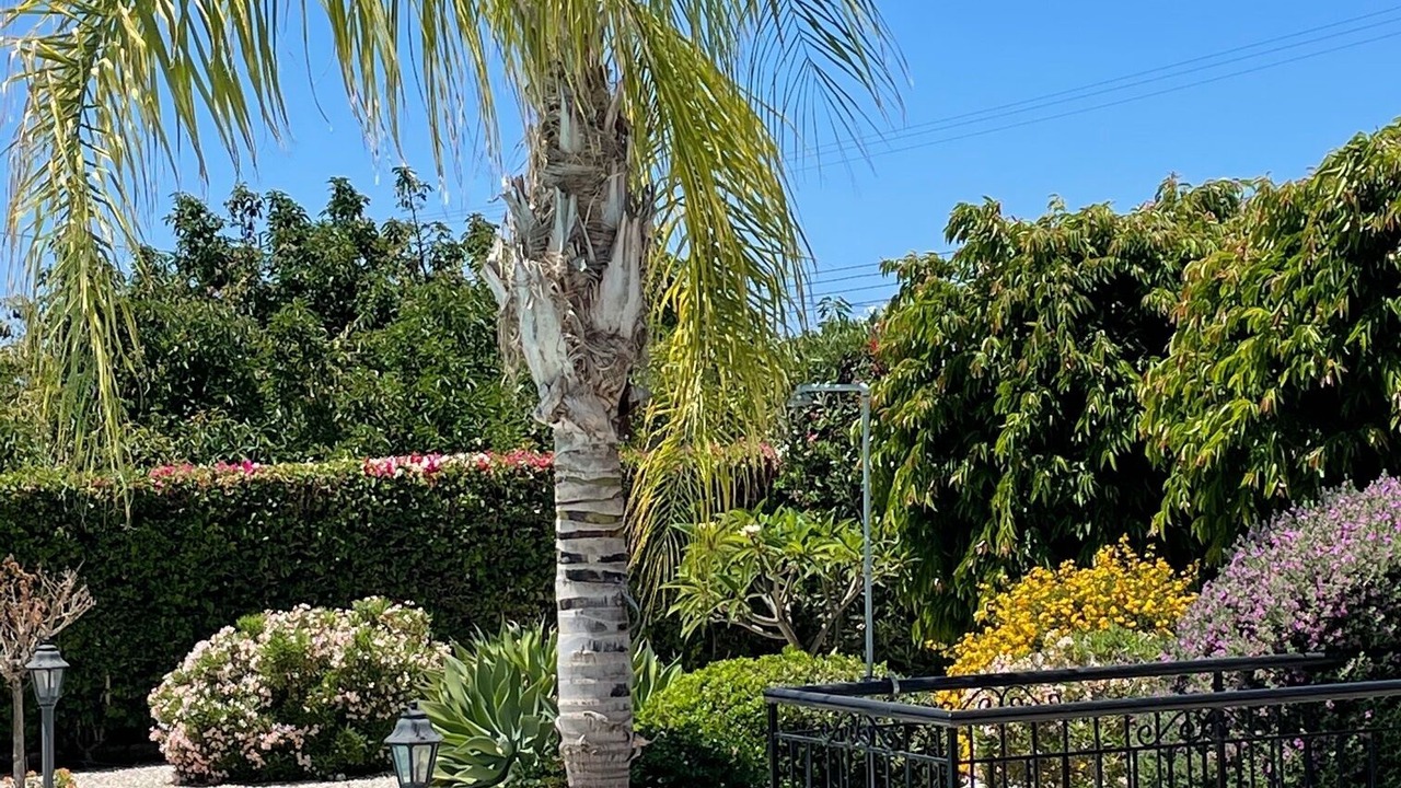 Photo of Outdoor in Pegeia
