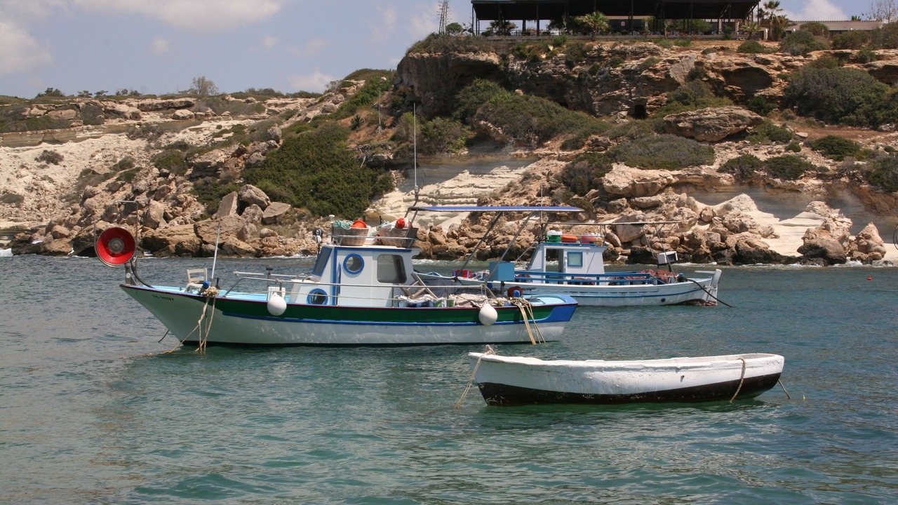 Photo of Others in Agios Georgios Pegeias