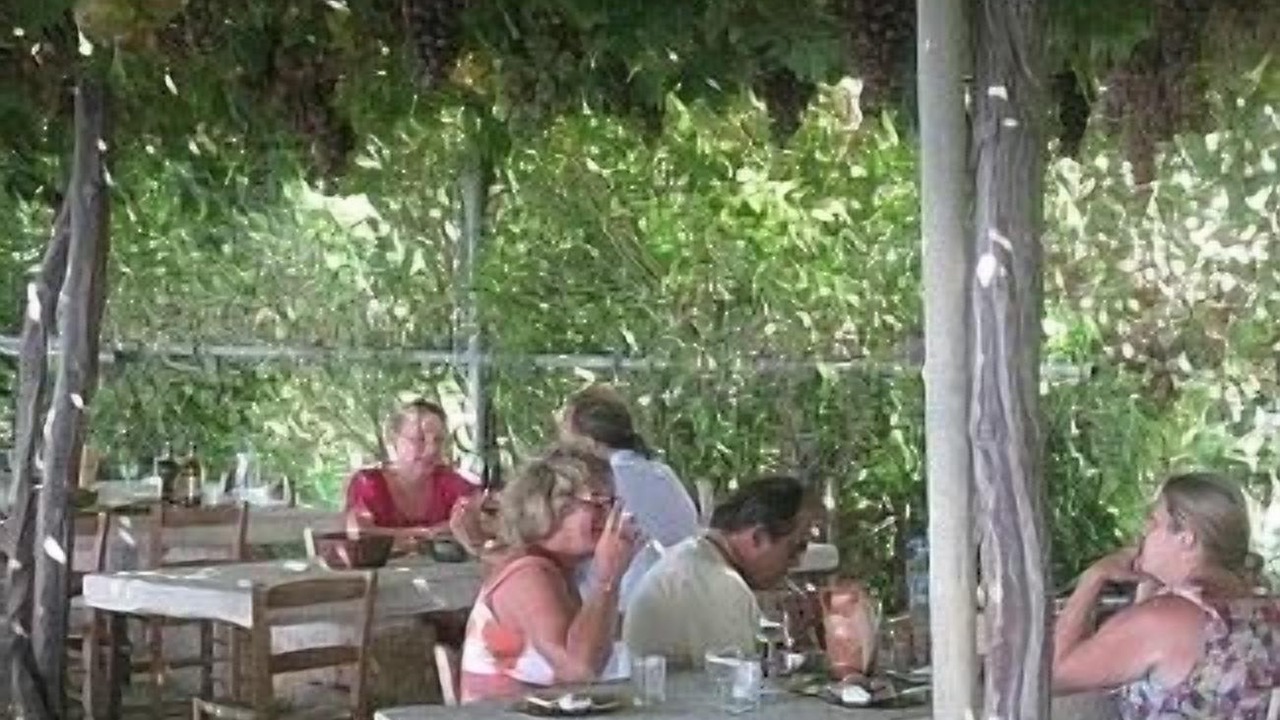 Photo of Others in Pegeia
