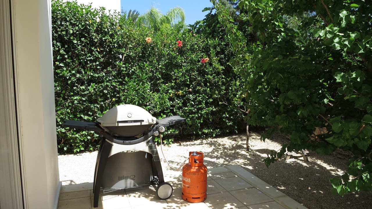 Photo of Outdoor in Pegeia