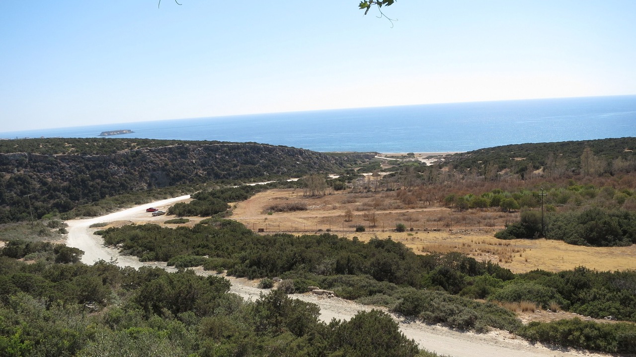 Photo of Others in Pegeia