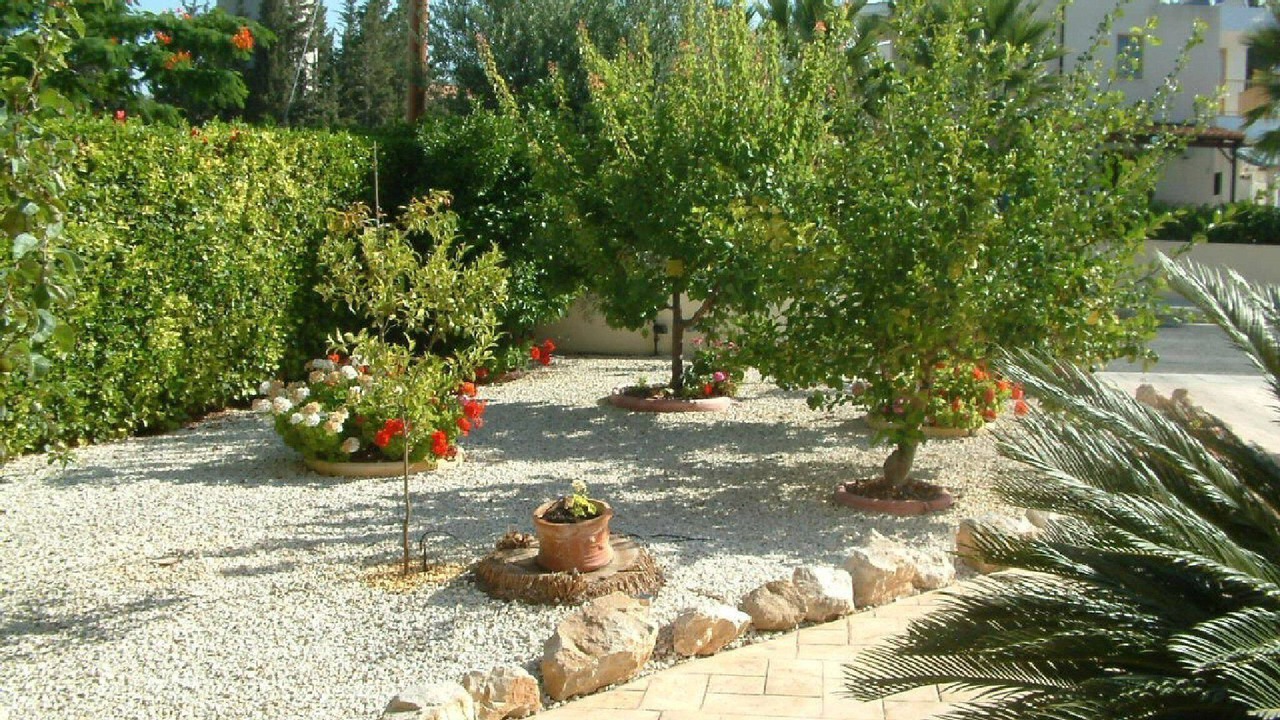 Photo of Outdoor in Geroskipou