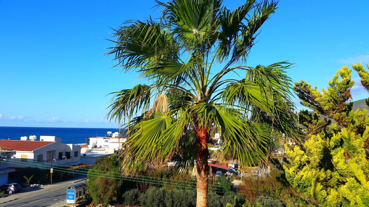 Photo of Others in Ayia Marina Chrysochous