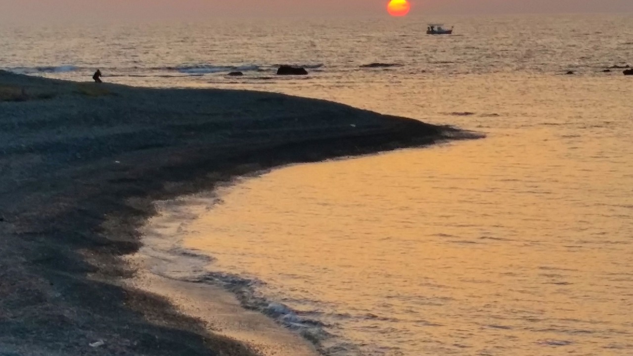 Photo of Others in Pomos