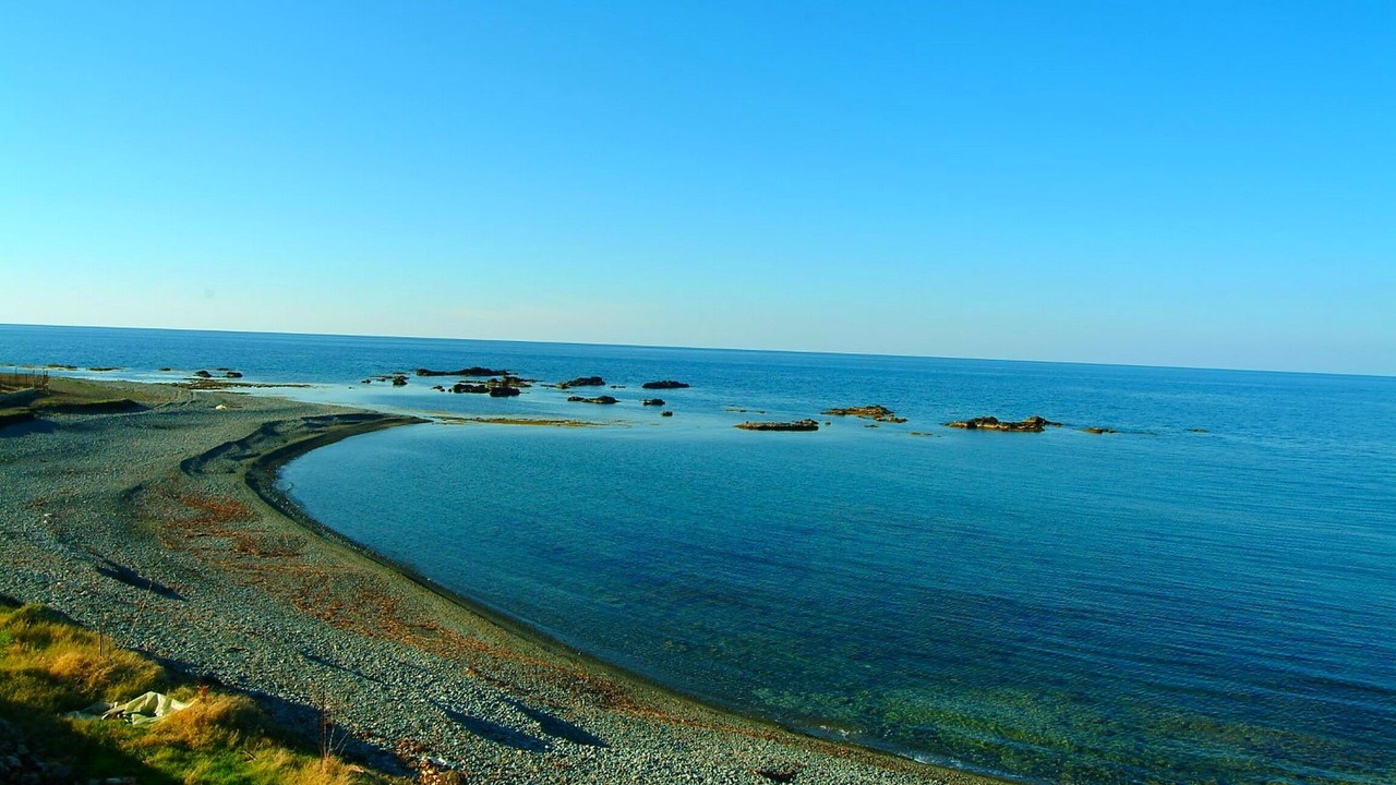 Photo of Others in Pomos