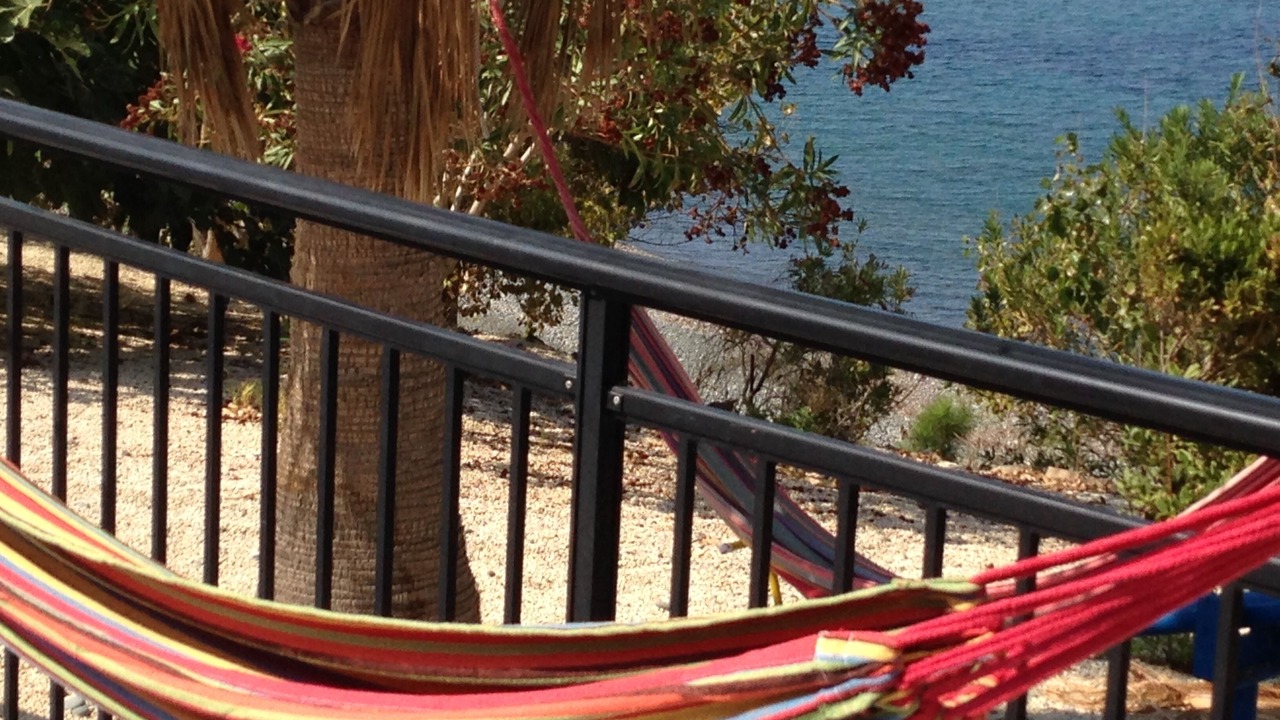 Photo of Others in Pomos