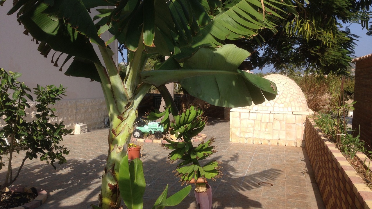 Photo of Outdoor in Ayia Marina Chrysochous