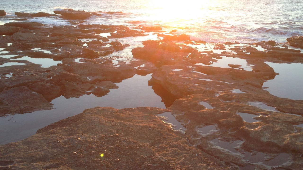 Photo of Others in Ayia Marina Chrysochous