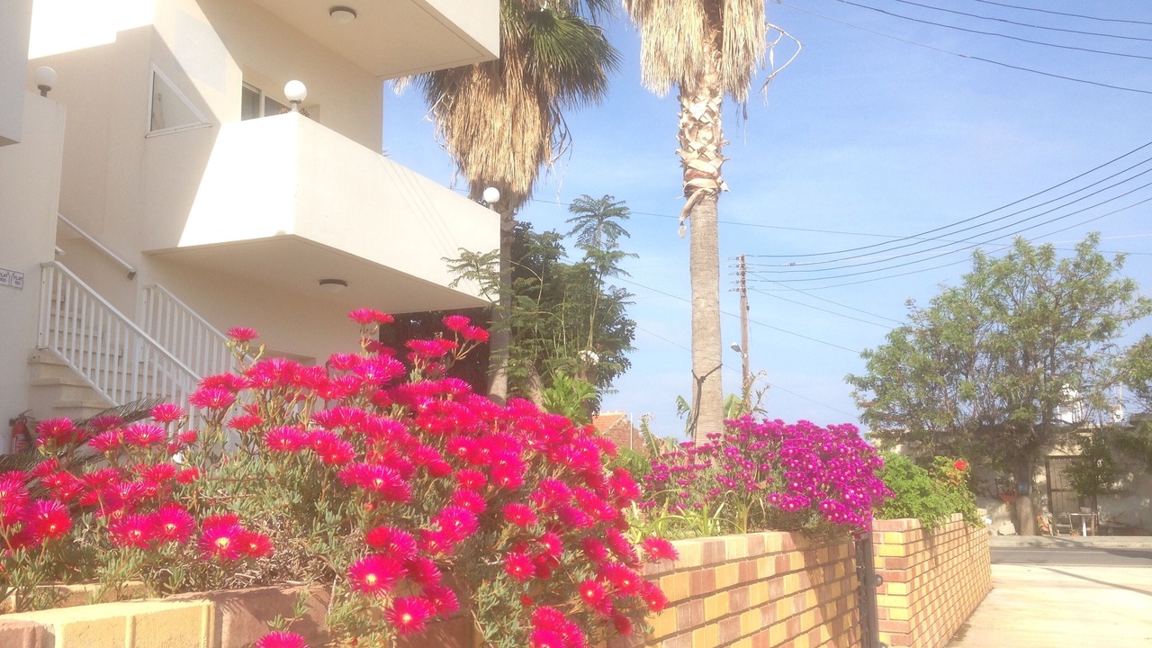 Photo of Outdoor in Ayia Marina Chrysochous