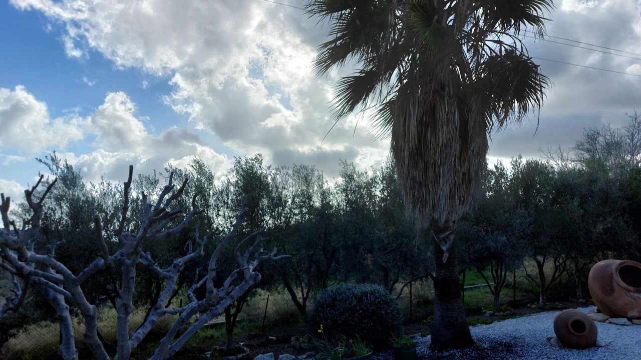Photo of Outdoor in Anogyra