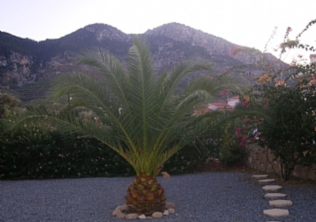 Photo of Outdoor in Kyrenia District