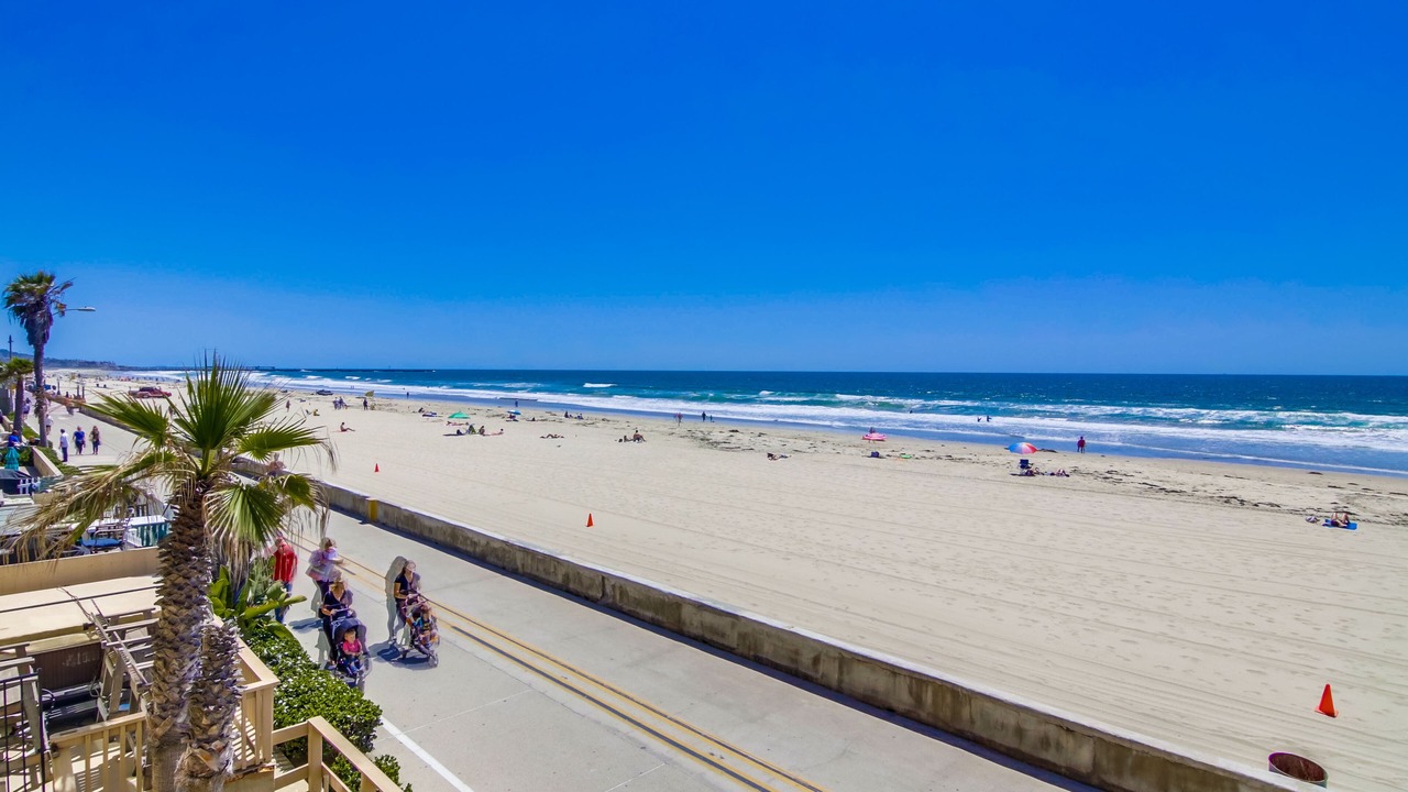 Photo of Others in Mission Beach
