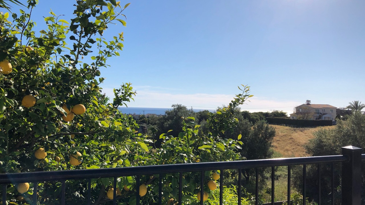 Photo of Outdoor in Peyia Town