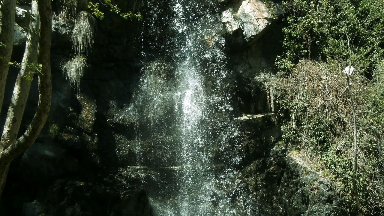 Photo of Others in Paphos