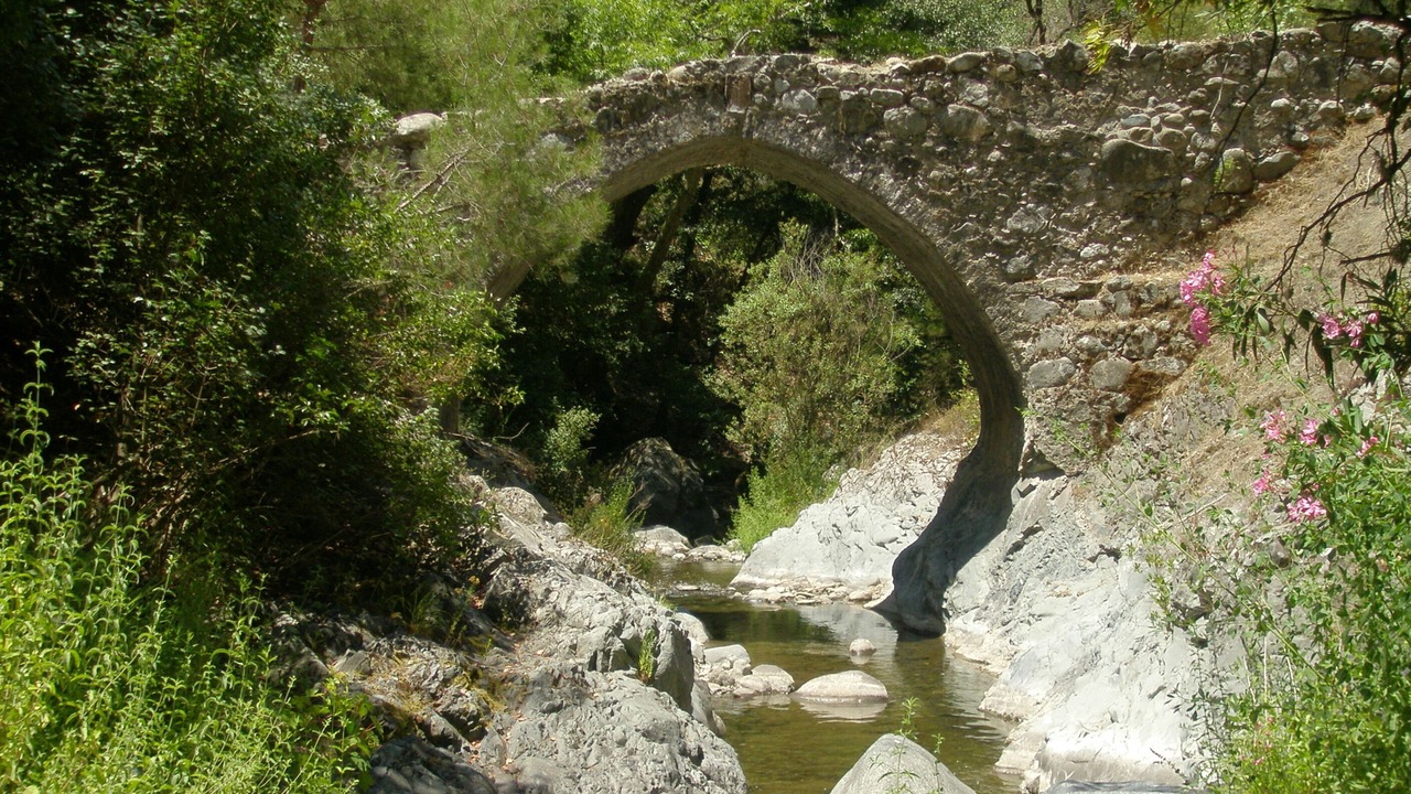 Photo of Others in Paphos