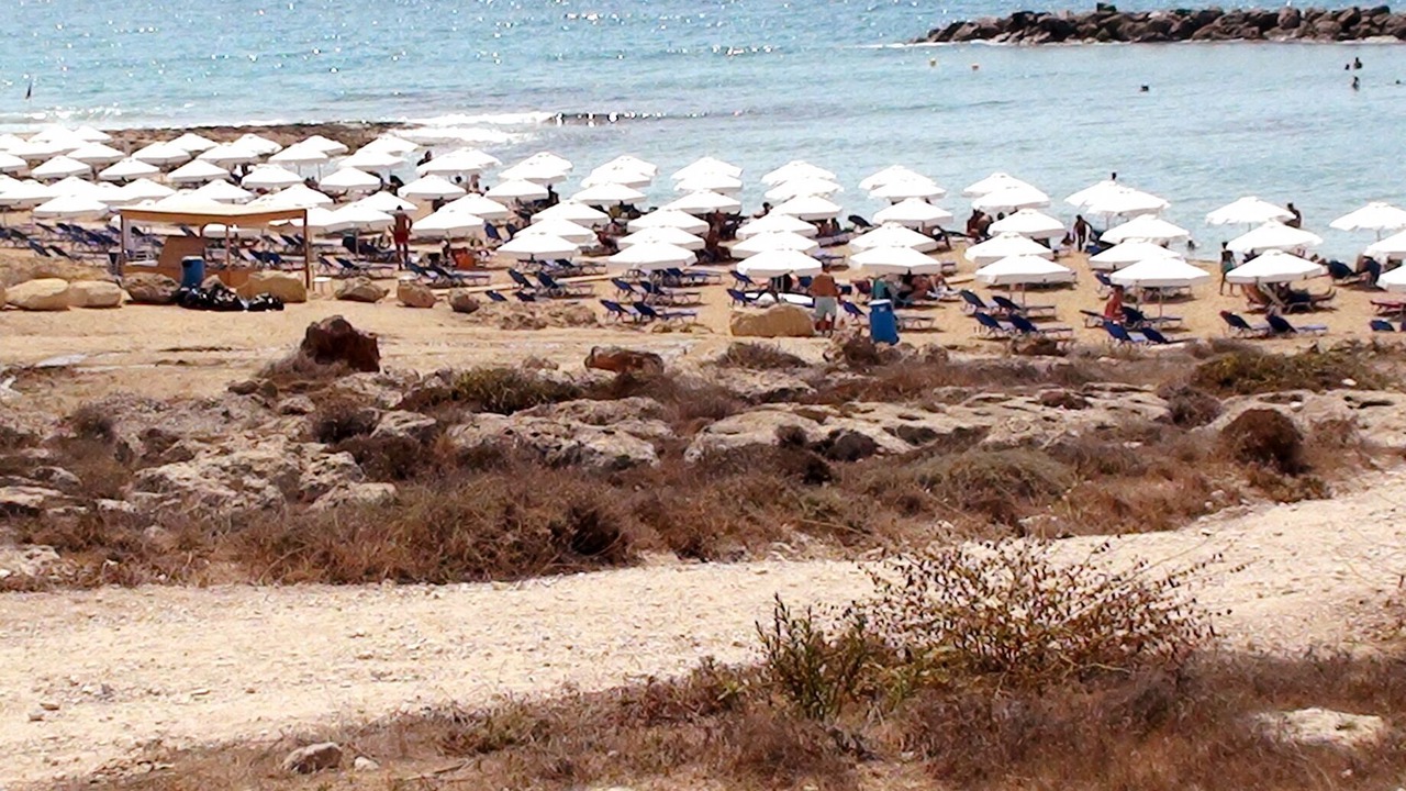 Photo of Others in Paphos