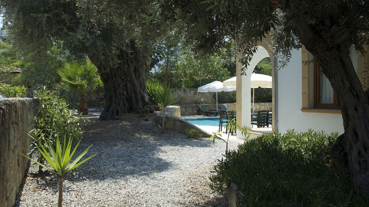 Photo of Outdoor in Ozankoy