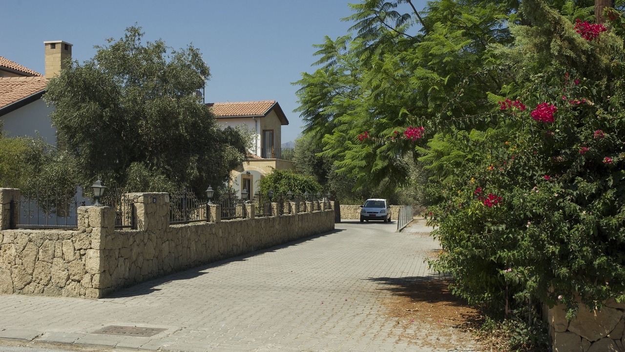 Photo of Others in Ozankoy