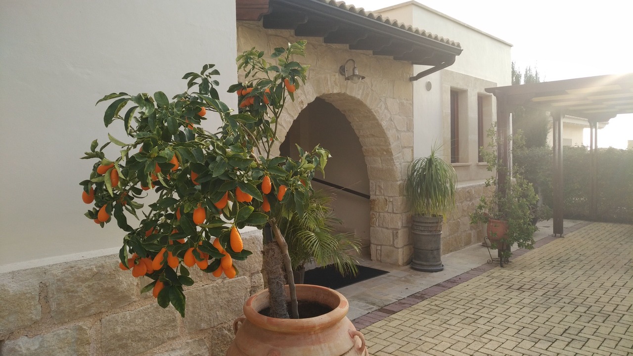 Photo of Outdoor in Aphrodite Hills