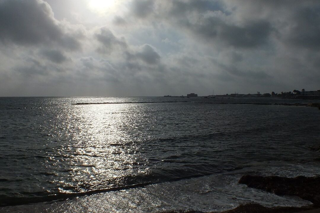 Photo of Others in Paphos
