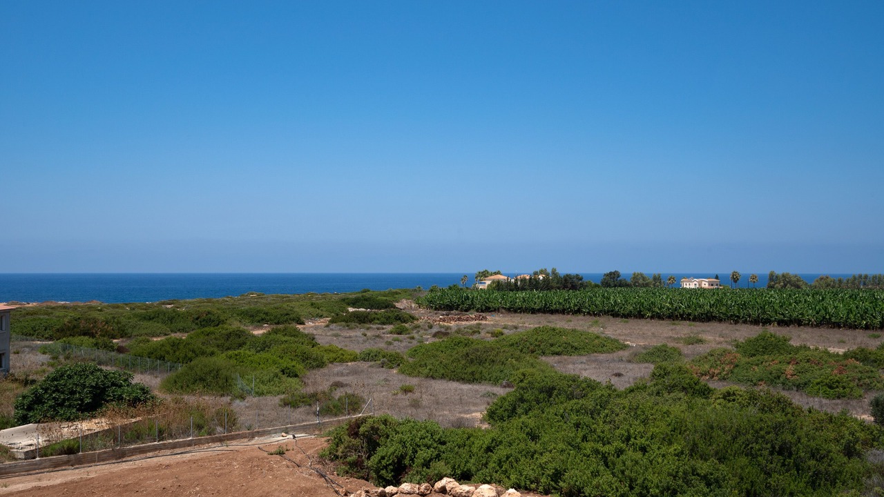 Photo of Others in Pegeia