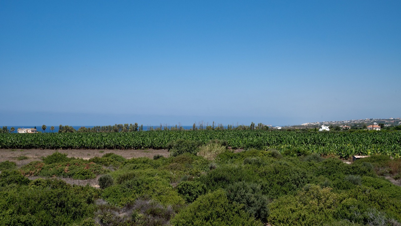 Photo of Others in Pegeia