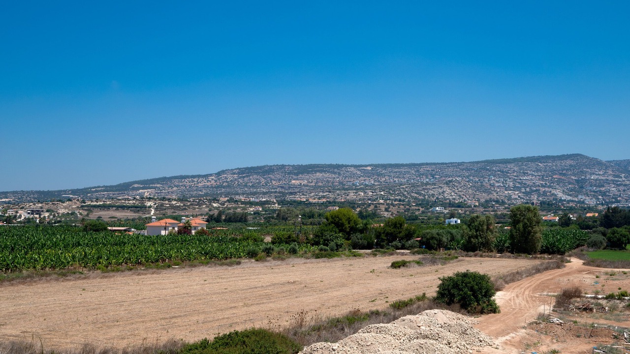 Photo of Others in Pegeia