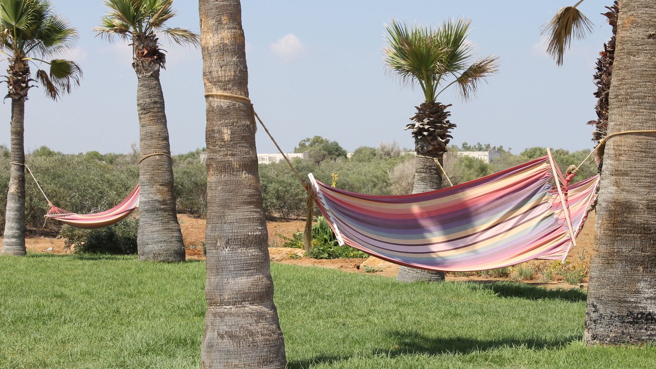 Photo of Outdoor in Bafra