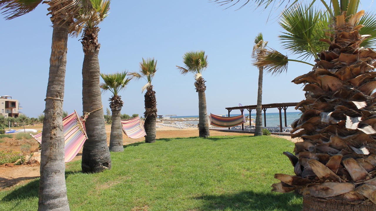 Photo of Outdoor in Bafra