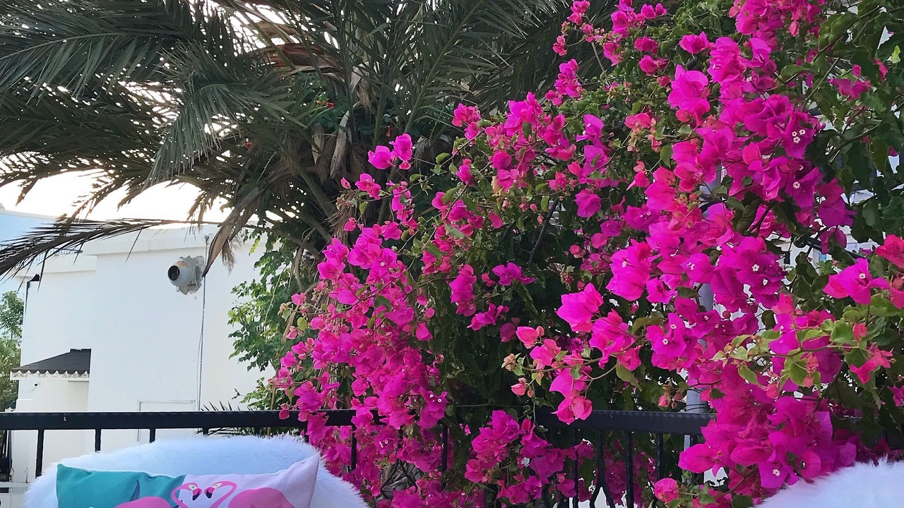 Photo of Outdoor in Kyrenia