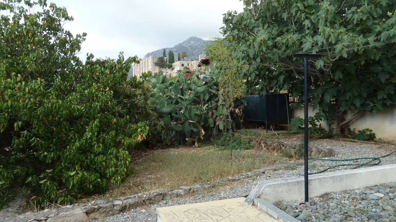 Photo of Outdoor in Bellapais