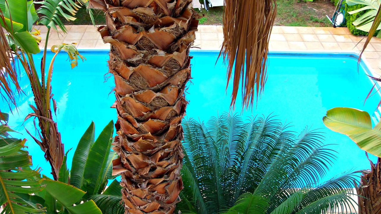 Photo of Outdoor in Pegeia